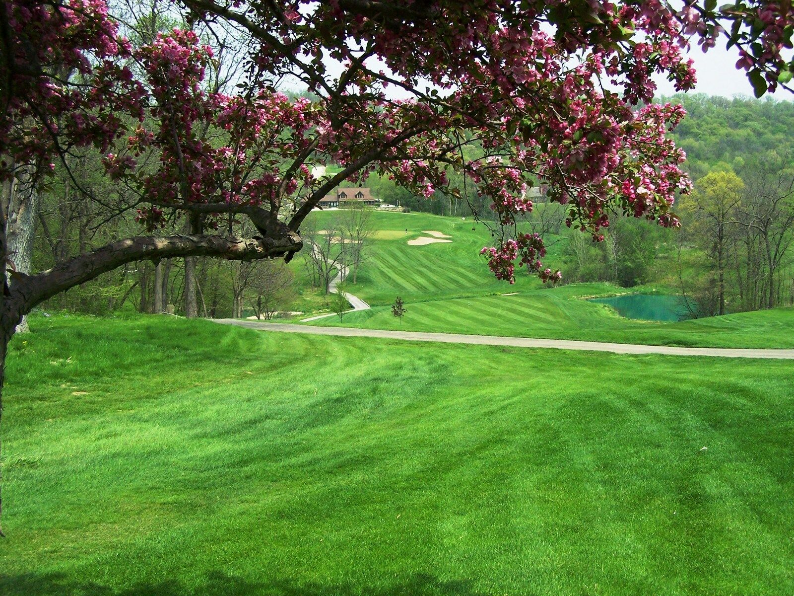 גלנה Eagle Ridge Resort And Spa מראה חיצוני תמונה